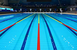 九游下载官网-花样游泳世界杯中国组合获最佳表现奖，花样游泳世界杯冠军