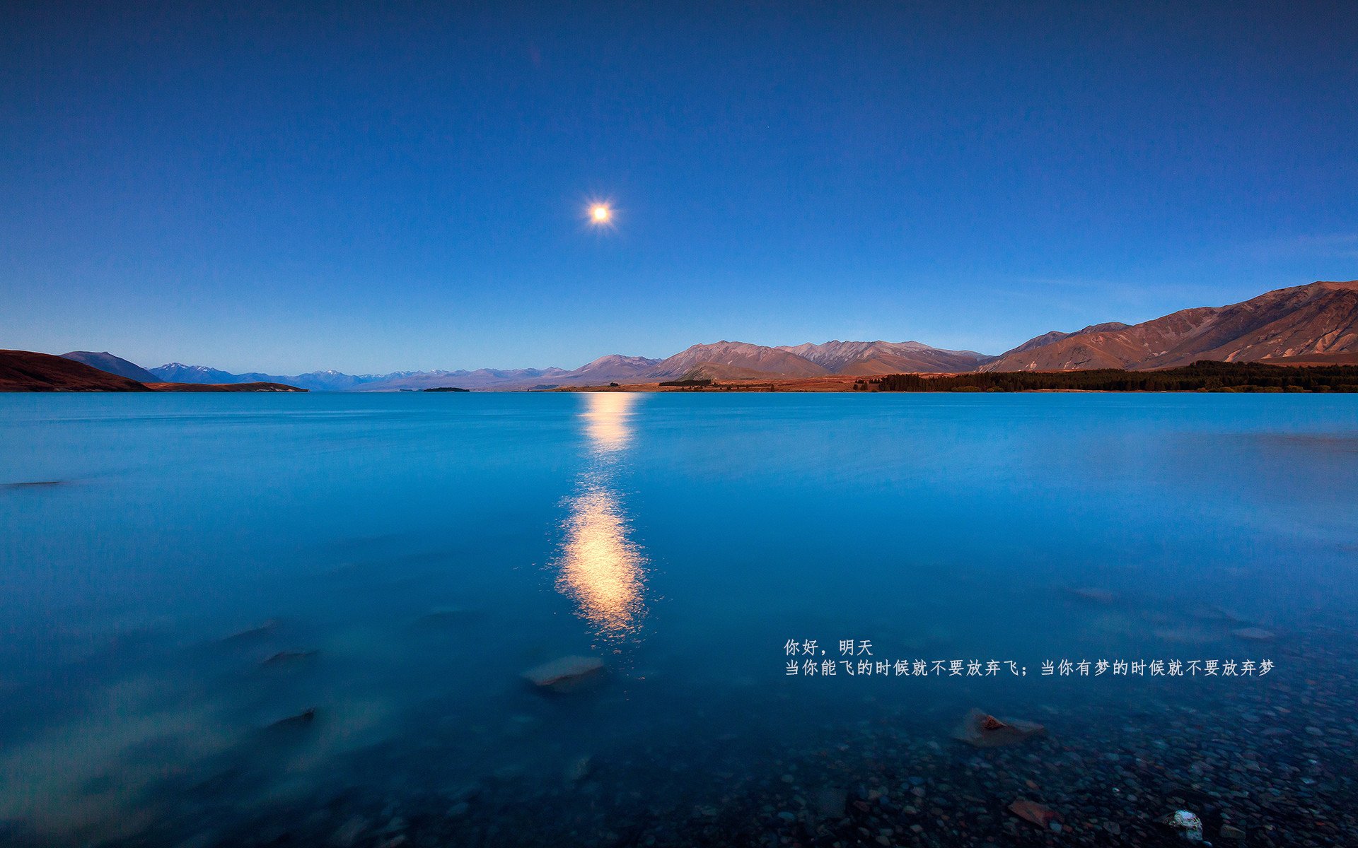 JIU YOU GAME-转会战背后：经理人的角色与影响，转会成功