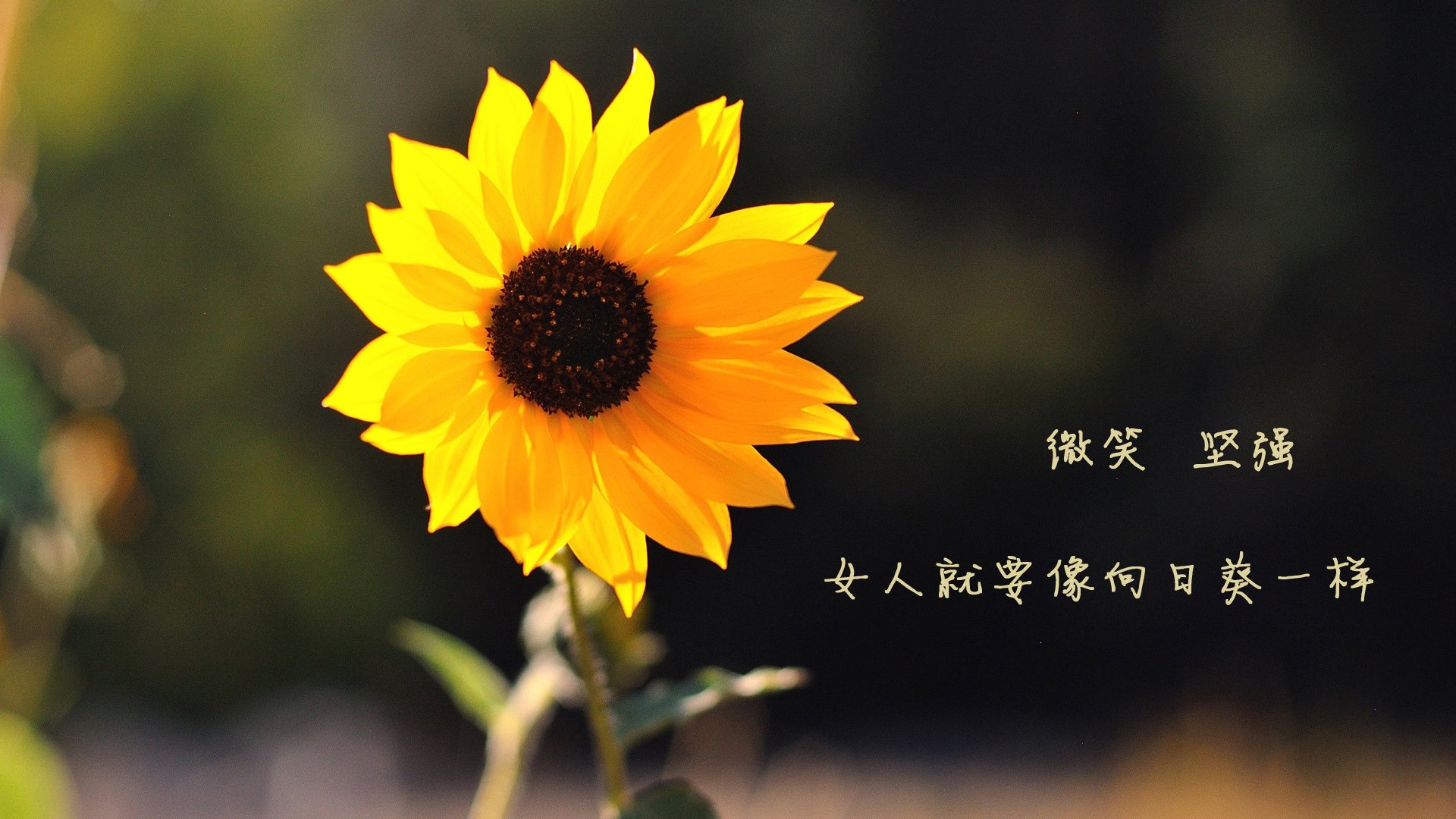 九游jiuyou-“台球赛事:天府校区体育馆见证完美击球与完美策略” 第1张 九游jiuyou-“台球赛事:天府校区体育馆见证完美击球与完美策略” 第1张