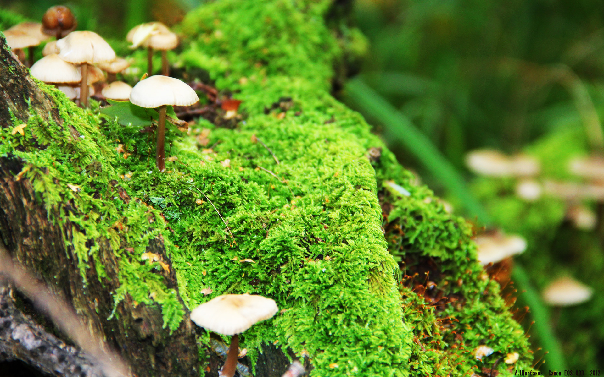 九游下载安装-俱乐部文化理念无法传导至青训层级，俱乐部企业文化一般怎么写