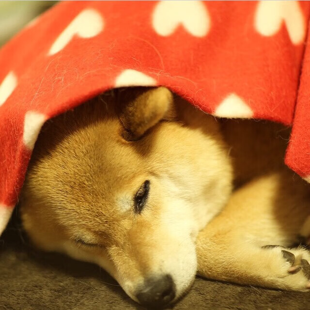 九游娱乐中心-冲刺划频提升技术动作分析,冲刺动作要领 第2张 九游娱乐中心-冲刺划频提升技术动作分析,冲刺动作要领 第2张