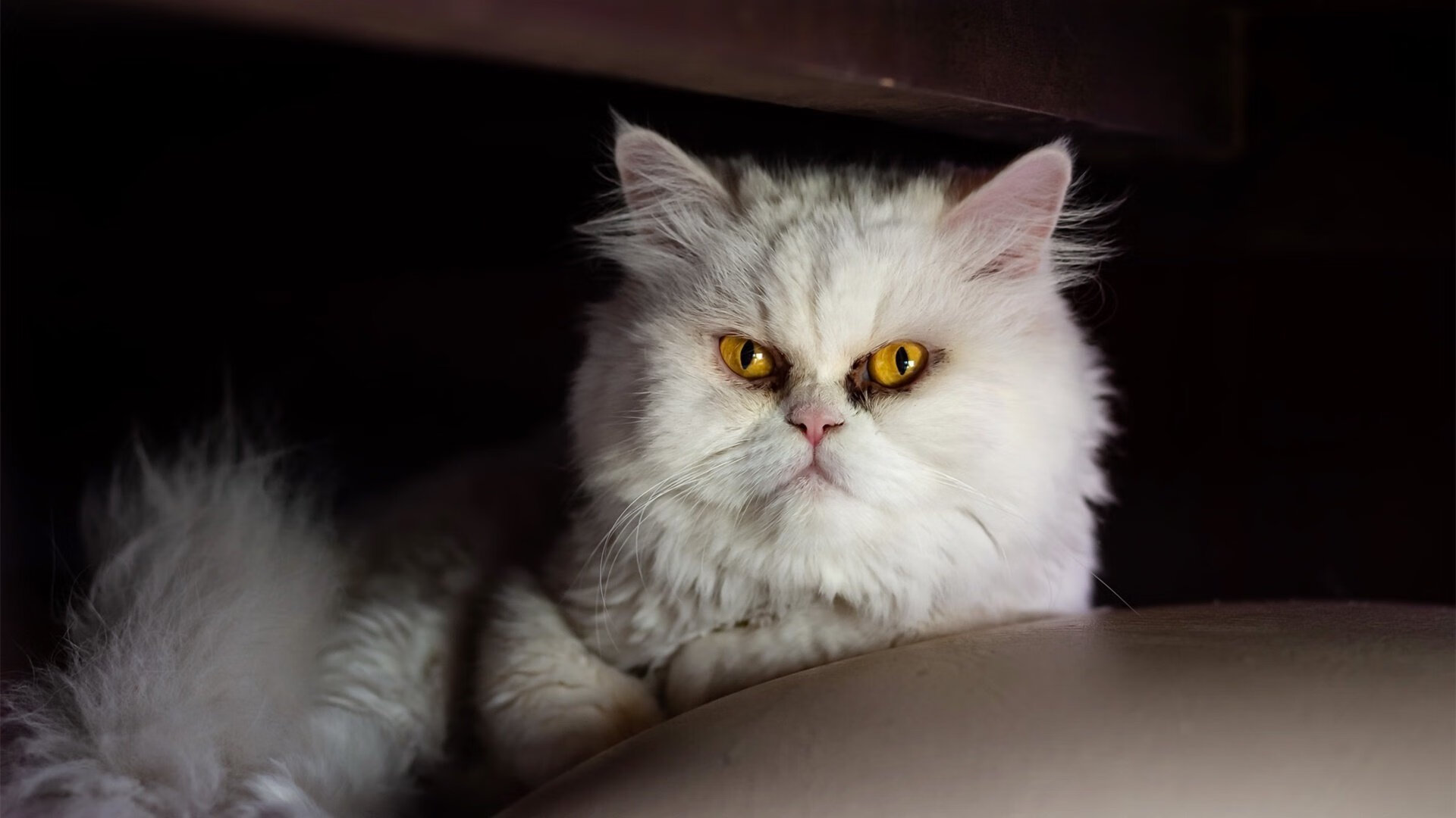 九游游戏中心官网-战术犯规是否成为抗衡超级球队利器，战术犯规是否成为抗衡超级球队利器