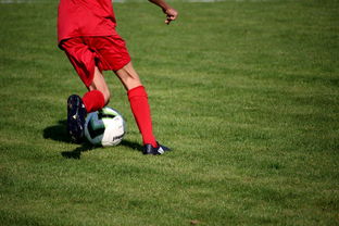 -青训球员选拔机制存在结构性偏见，青训选拔喜欢那种球员