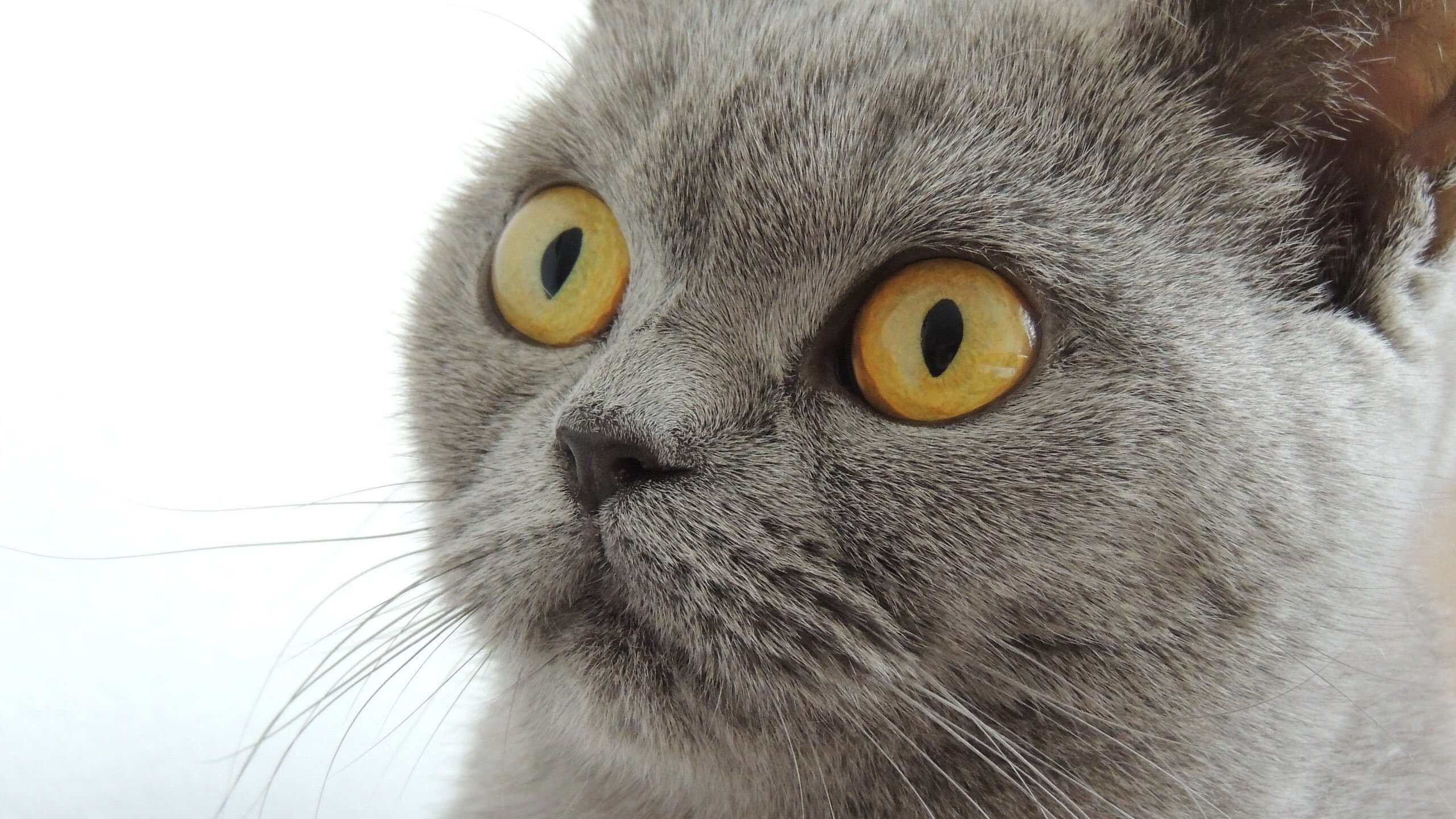 九游游戏中心-高压体系打穿防线仅需三秒，高压线击穿距离