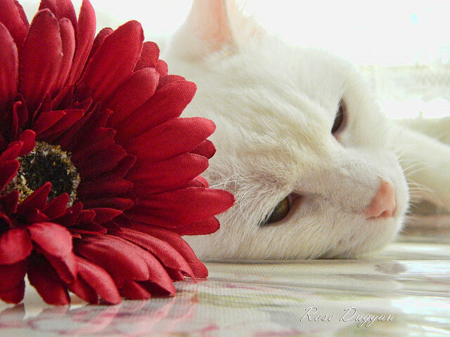 九游(jiuyou)官方网站-中国足球走向未来需要更多教练培训和社区投入，中国足球教练员培训班