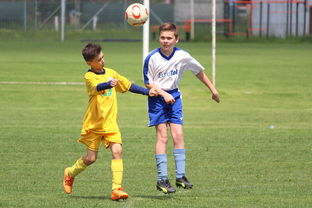 九游网页版入口-比利时男篮在欧洲预赛中奋勇奋战,冲击奥运资格,比利时男篮阵容