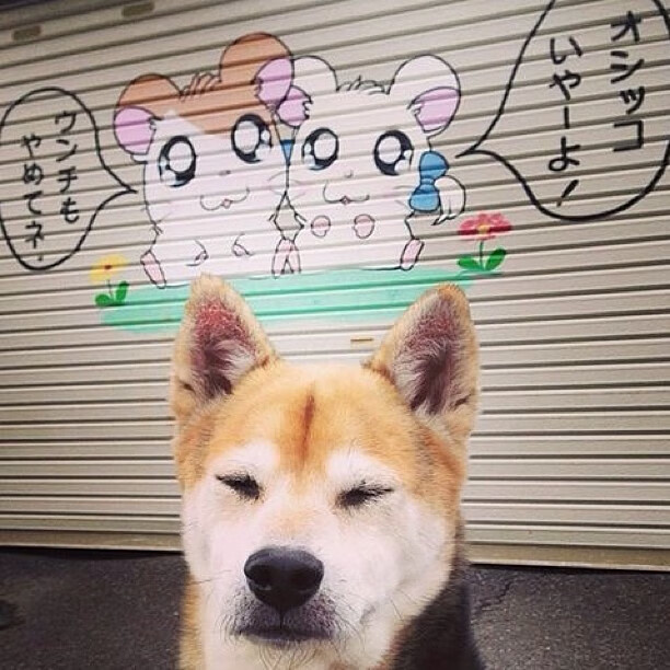 九游游戏中心官网-球迷文化研究报告发布,展望全球化发展趋势,球迷文化什么意思