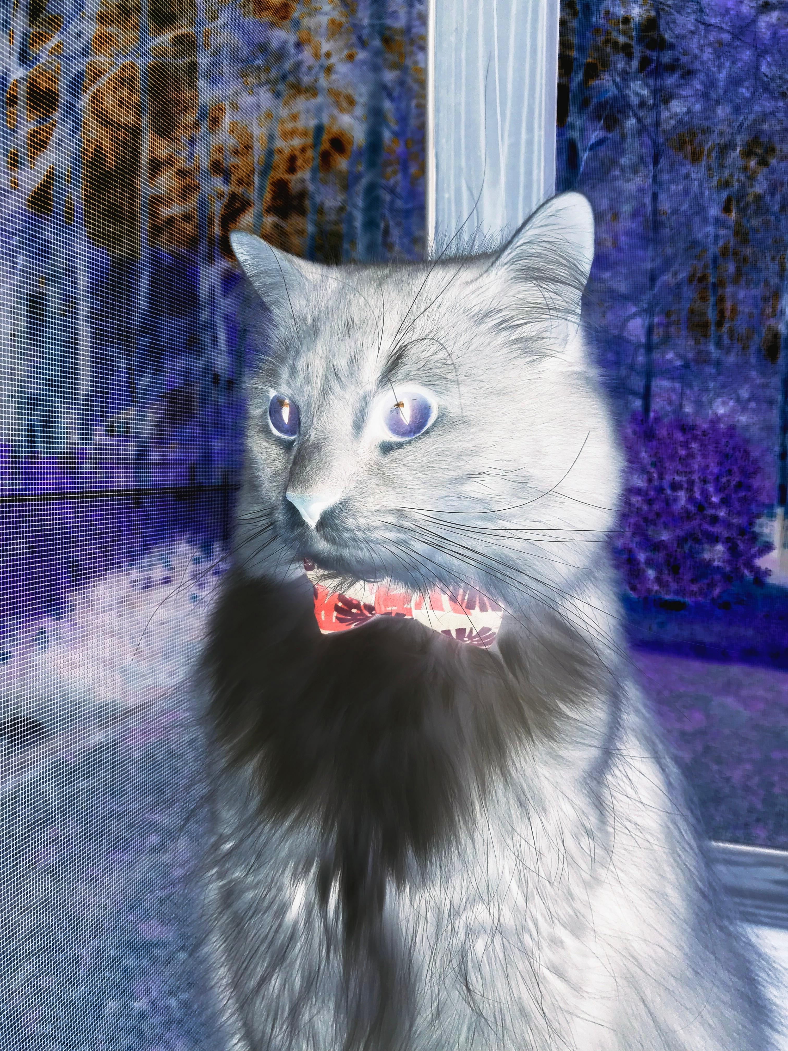 -田径专项人才基地建设纳入重点发展计划,田径专业人员管理系统