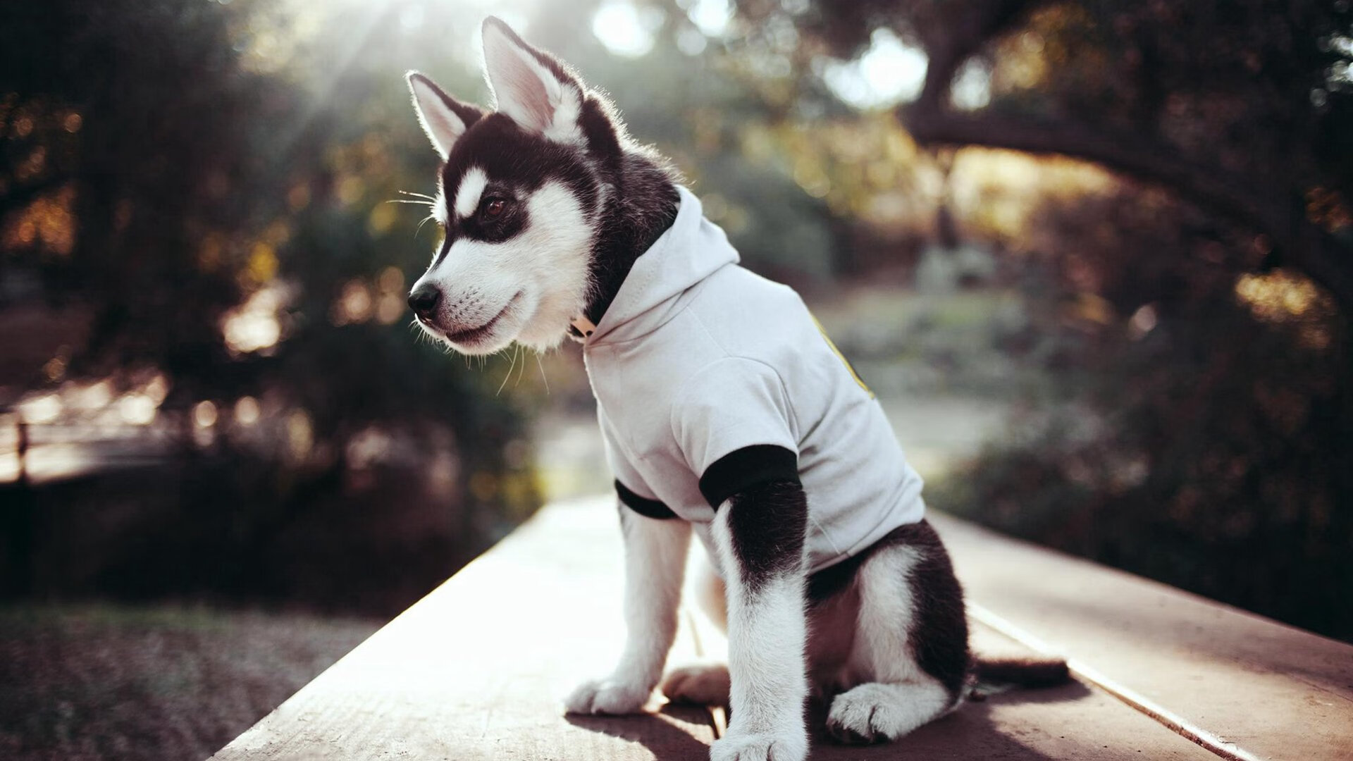 九游登录中心-篮球裁判员年度评估标准全面更新,篮球裁判员年度评估标准全面更新了吗