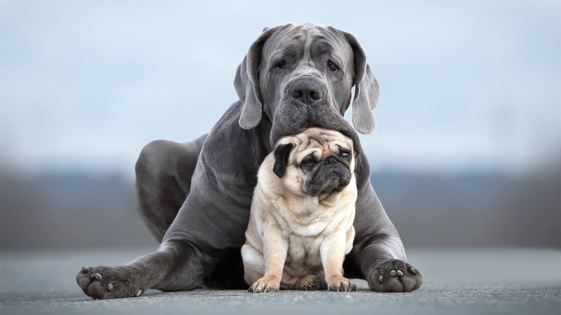 Jiuyou-西甲攻防精彩：场场精彩，难以预料！，西甲的比赛