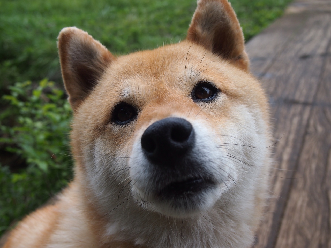 九游9游-跳水半决赛比利时成功晋级,跳水半决赛排名