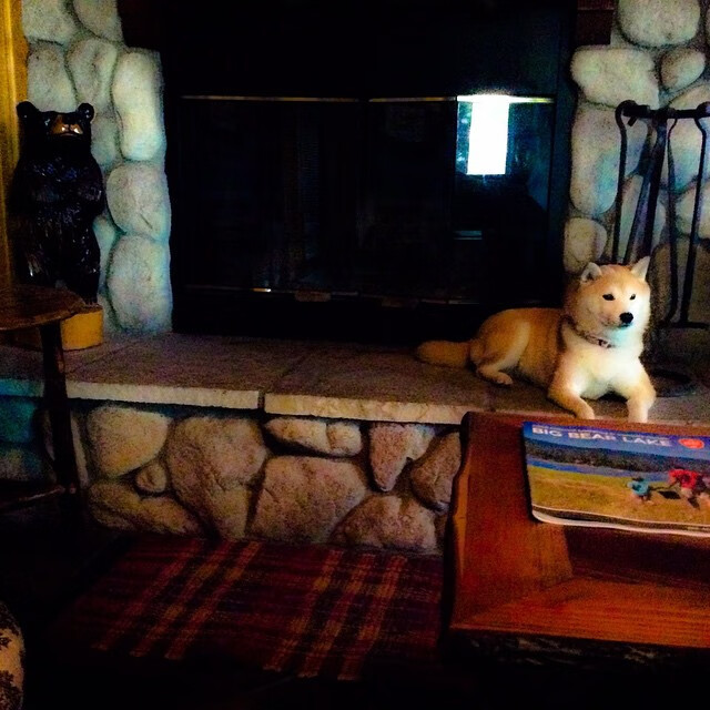 九游娱乐官网 (JIUYOU)-NBA历史十大罚球高手,nba罚球第一人