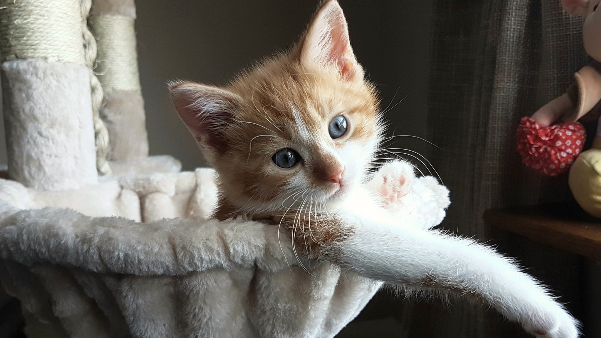 九游娱乐APP-中国篮球如何提升球队间战术对抗,如何提升篮球对抗能力