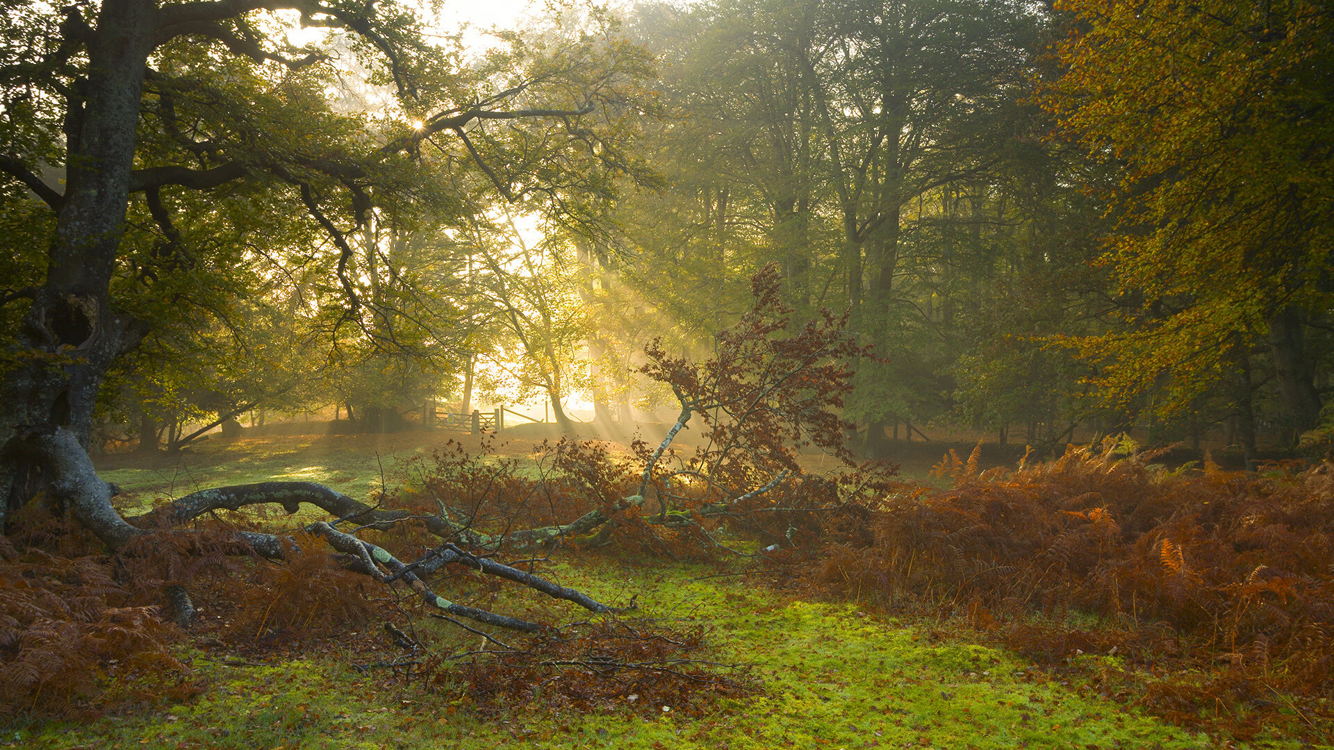 九游电脑版-中国足球女足年轻球员心理建设与心理辅导机制，女足 新人